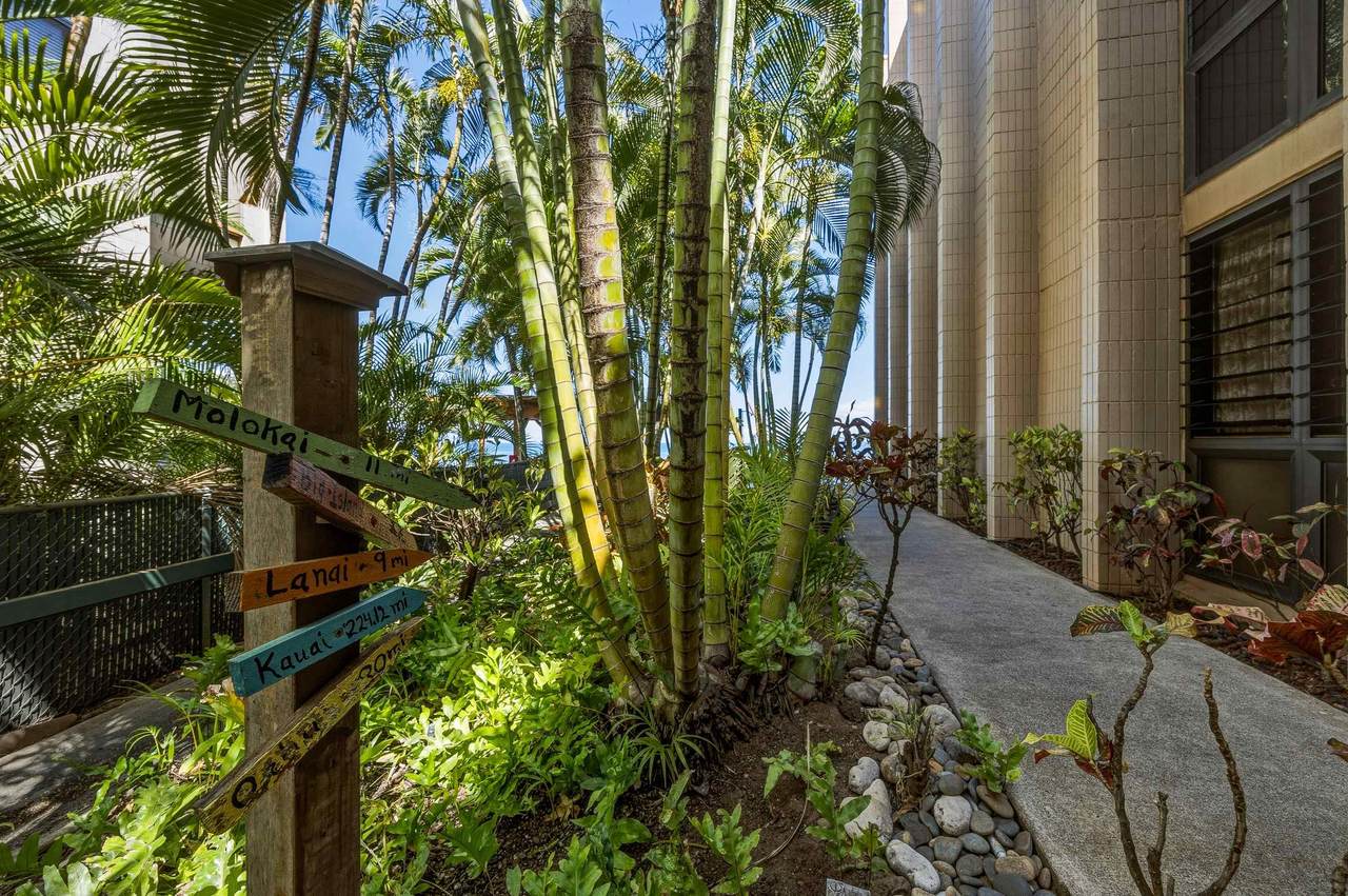 https://bt-photos.global.ssl.fastly.net/maui/1280_boomver_2_410319-2.jpg