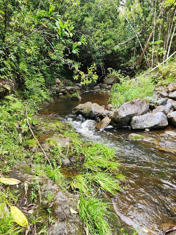https://bt-photos.global.ssl.fastly.net/maui/1280_boomver_4_377652-5.jpg