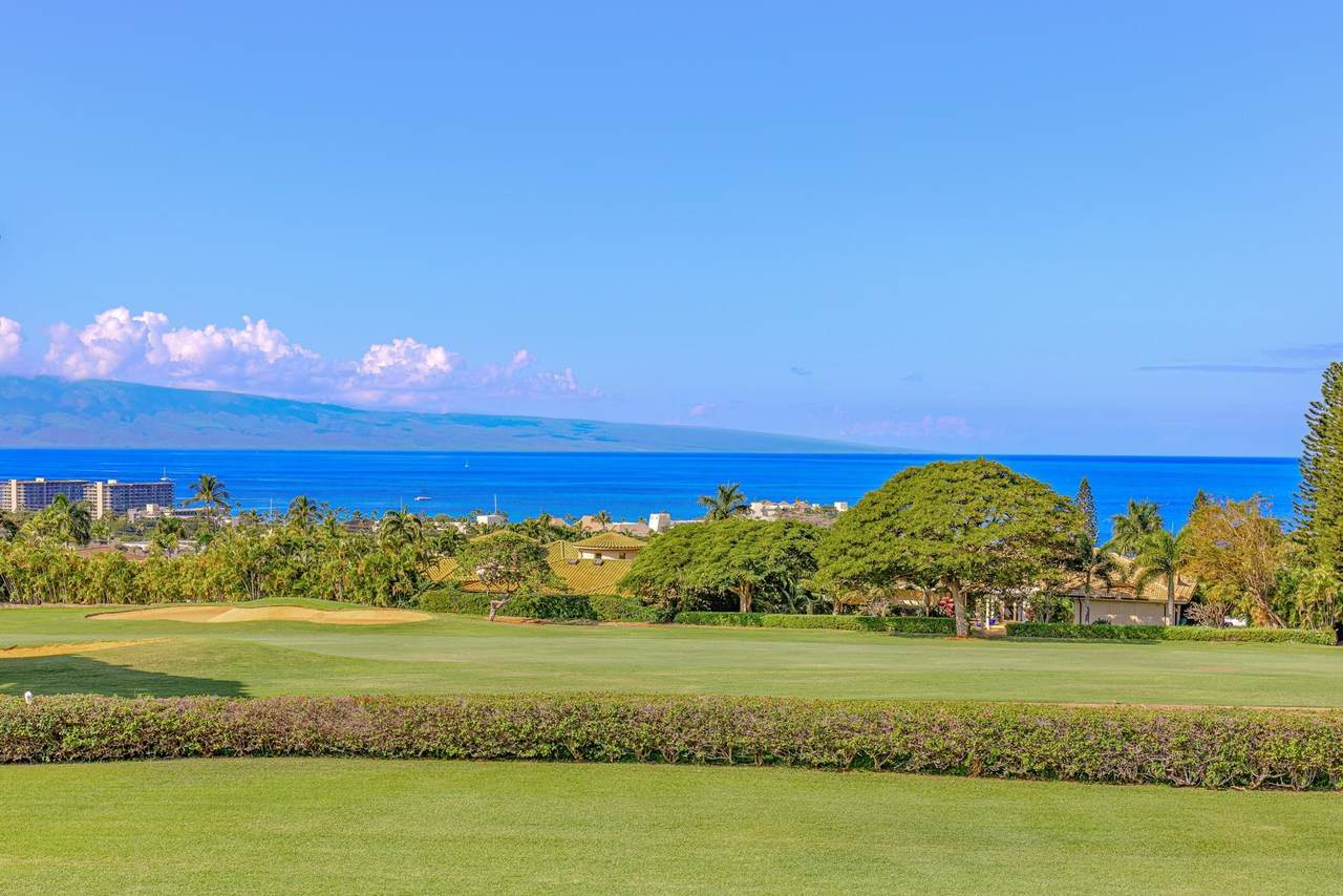 https://bt-photos.global.ssl.fastly.net/maui/1280_boomver_5_408624-2.jpg