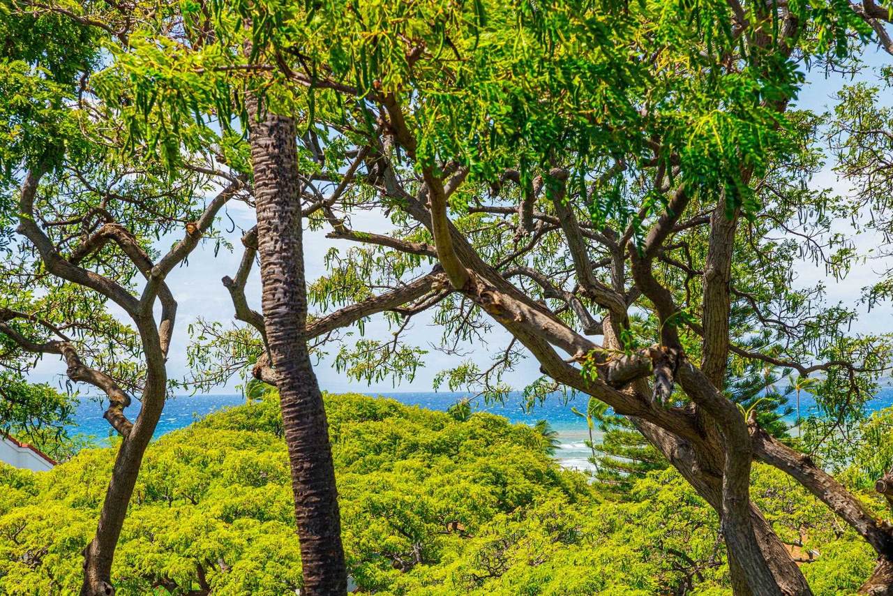 https://bt-photos.global.ssl.fastly.net/maui/1280_boomver_4_409740-2.jpg