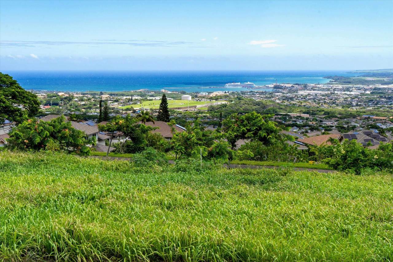 101 Hopo'i Pl - Photo 1