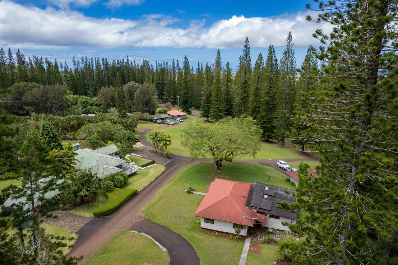 https://bt-photos.global.ssl.fastly.net/maui/1280_boomver_5_406096-2.jpg