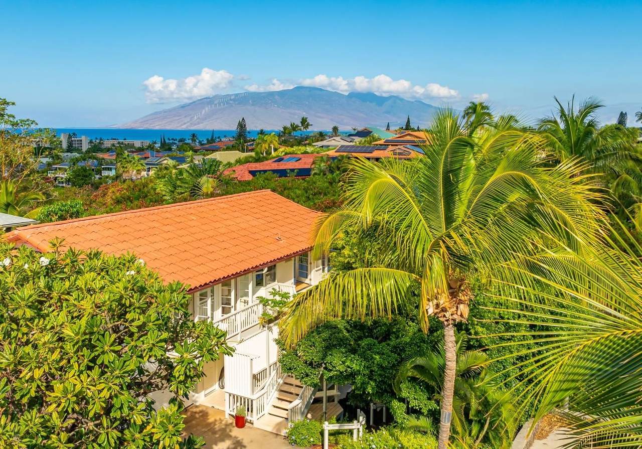 235 Keonekai Rd - Photo 1