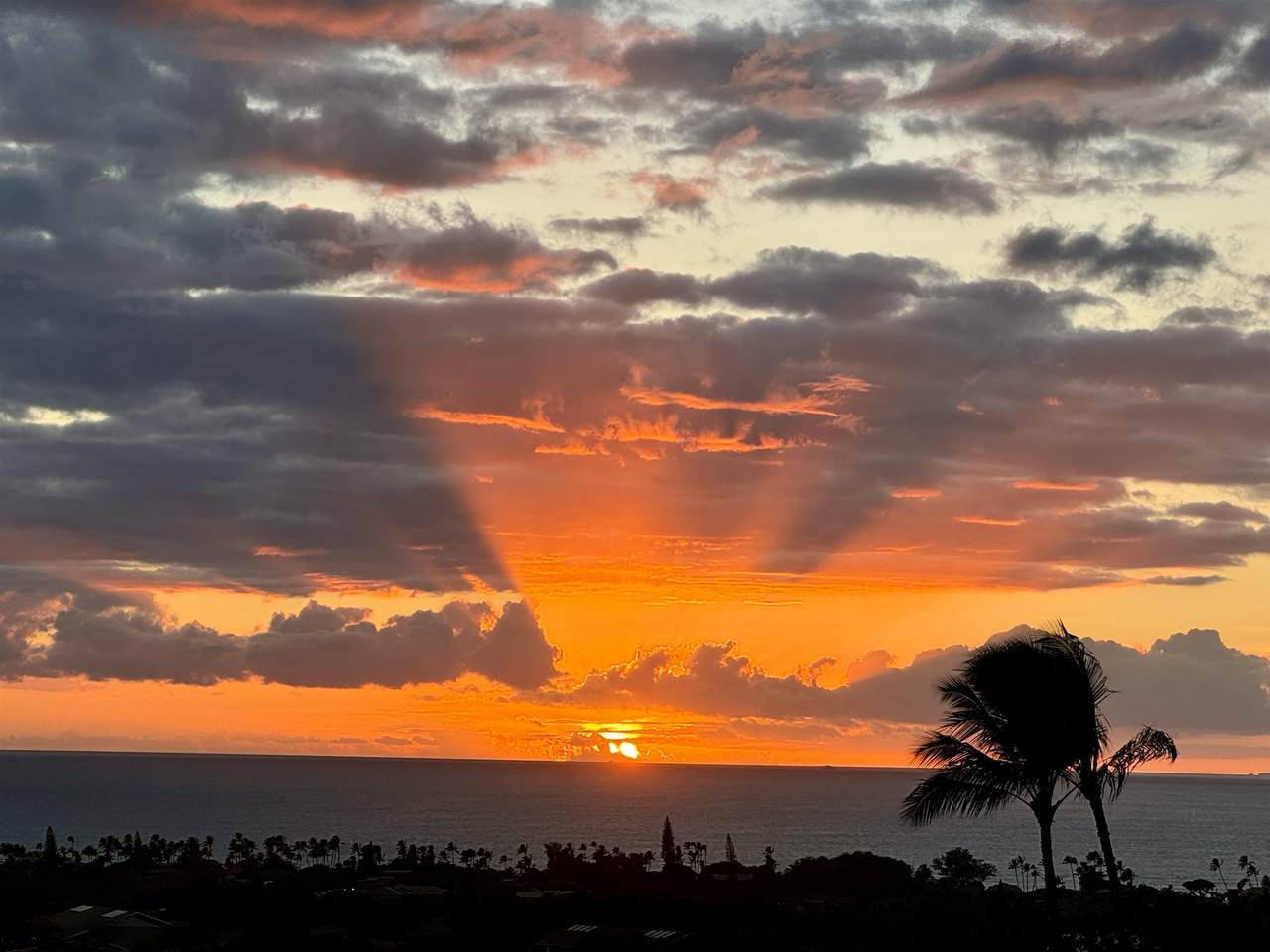 https://bt-photos.global.ssl.fastly.net/maui/1280_boomver_6_409616-2.jpg
