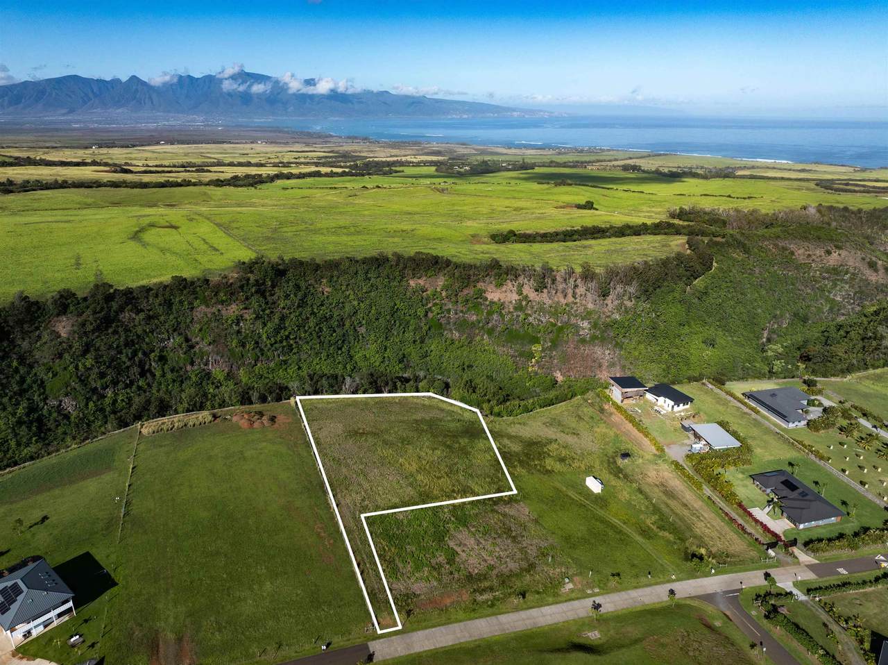 1022 Auwaha Pl - Photo 1