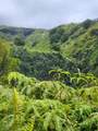 000 Hana Hwy - Photo 2
