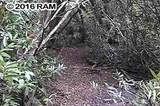 000 Hana Hwy - Photo 7