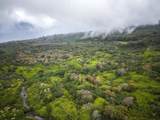 Lot 20 Hana Hwy - Photo 16