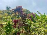Lot 20 Hana Hwy - Photo 20