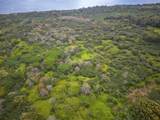 Lot 20 Hana Hwy - Photo 8
