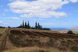 0 Omaopio Rd - Photo 1