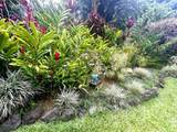 2901 Hana Hwy - Photo 11
