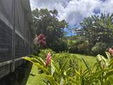 2901 Hana Hwy - Photo 19