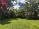 2901 Hana Hwy - Photo 20