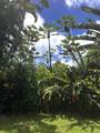 2901 Hana Hwy - Photo 24