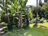 2901 Hana Hwy - Photo 26