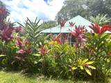 2901 Hana Hwy - Photo 4