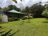 2901 Hana Hwy - Photo 5