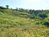5159 Makena Rd - Photo 35