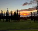 500 Kapalua Dr - Photo 3