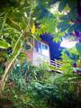 106 Hikiau Rd - Photo 25