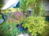 106 Hikiau Rd - Photo 37