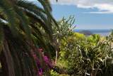 1108 Kupulau Dr - Photo 9