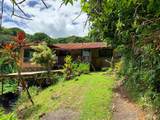 13895 Hana Hwy - Photo 1