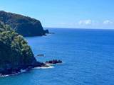 13895 Hana Hwy - Photo 18