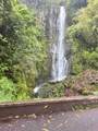 13895 Hana Hwy - Photo 20
