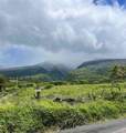 13895 Hana Hwy - Photo 21