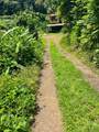 13895 Hana Hwy - Photo 4