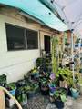 290 Makua St - Photo 32
