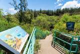 100 Ridge Rd - Photo 35