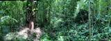 772 Nahiku Rd - Photo 30