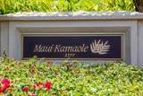 2777 Kihei Rd - Photo 50