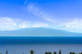 67 Wailea Gateway Pl - Photo 48