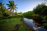 4865 Uakea Rd - Photo 17