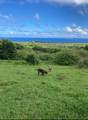 Lot F Hana Hwy - Photo 16