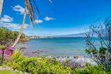 3911 Maalaea Bay Pl - Photo 46