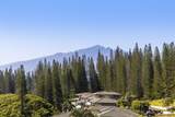 500 Kapalua Dr - Photo 36