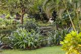 3445 Lower Honoapiilani Rd - Photo 22