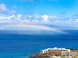 2481 Kaanapali Pkwy - Photo 37