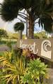 7142 Kamehameha V Hwy - Photo 29