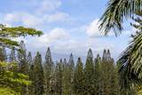 500 Kapalua Dr - Photo 31