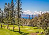 500 Kapalua Dr - Photo 16