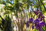 3788 Lower Honoapiilani Rd - Photo 25