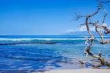 3691 Lower Honoapiilani Rd - Photo 45