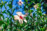 3691 Lower Honoapiilani Rd - Photo 46