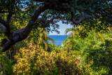3300 Wailea Alanui Dr - Photo 8
